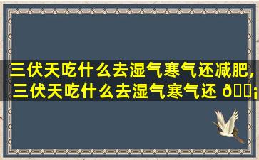 三伏天吃什么去湿气寒气还减肥,三伏天吃什么去湿气寒气还 🐡 减肥效果好